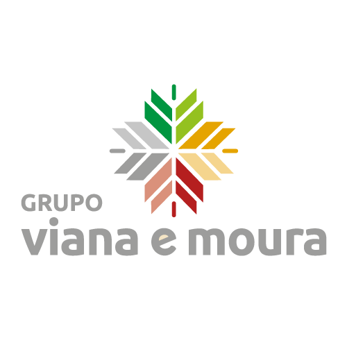 grupo viana e moura